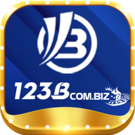 123bcombiz