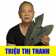 trieuthithanh