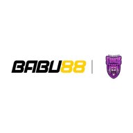 babu88llc2024