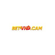 betvndcam