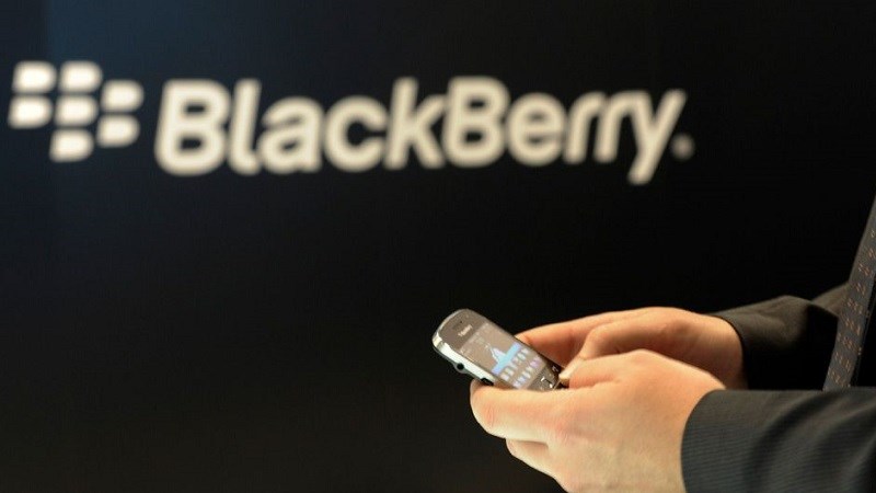 blackberry_800x450.jpg