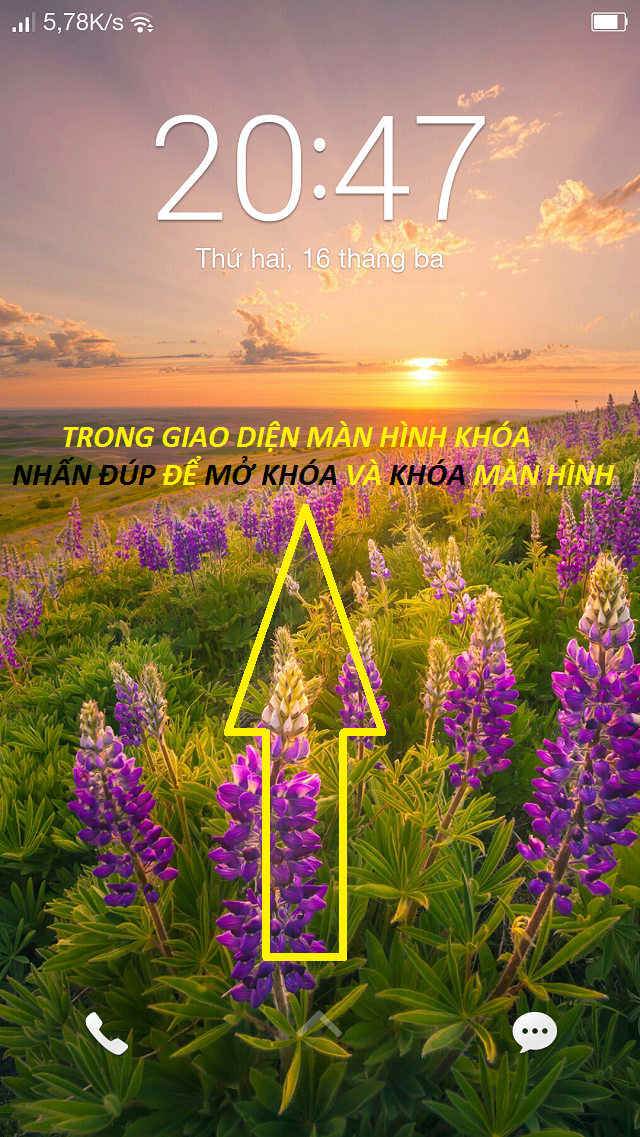 hinh1.jpg