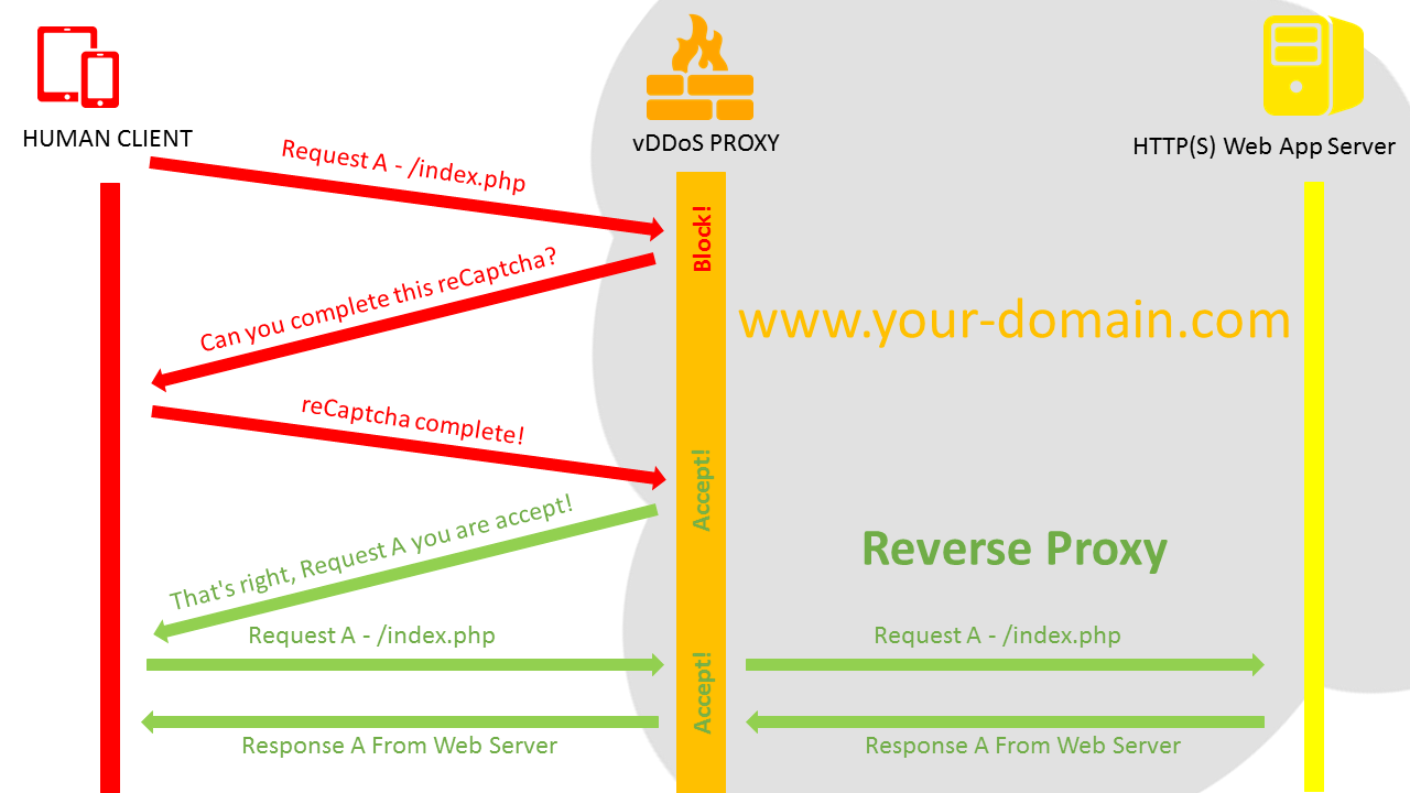 vDDoS-HTTP-S-DDoS-Protection-Reverse-Proxy2.png
